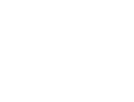 logo fala company white
