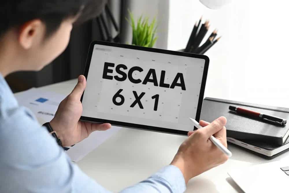 escala-6x1-vera-lorenzo-mark-impink-fala-company-idiomas-treinamentos-corporativos